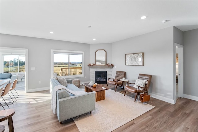 living room with hardwood / wood-style floors and a wealth of natural light