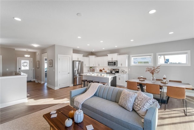 living room featuring light hardwood / wood-style floors