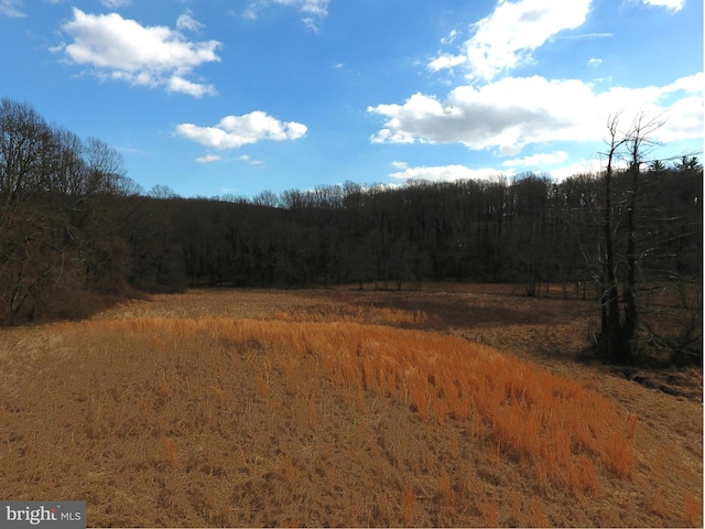 view of local wilderness