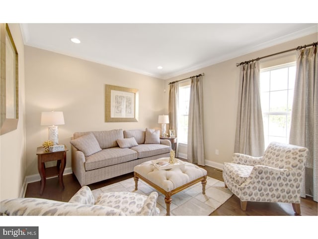 living room with hardwood / wood-style flooring, crown molding, and a wealth of natural light