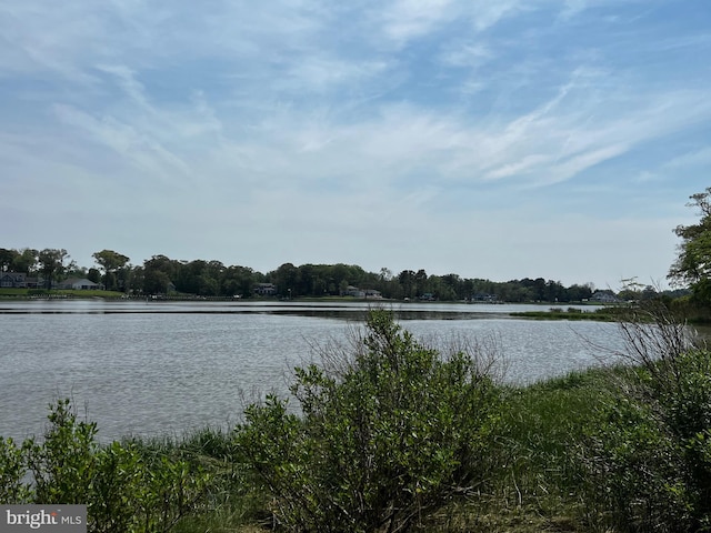 0 Piney Neck Rd, Dagsboro, DE 19939