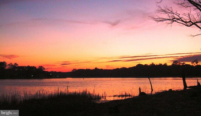 0 Piney Neck Rd, Dagsboro, DE 19939