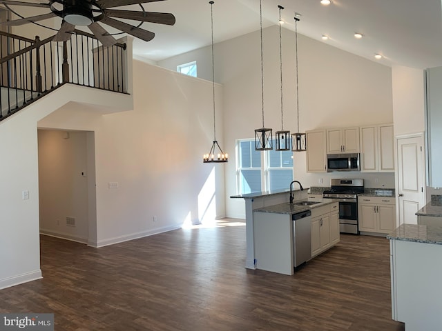 kitchen featuring appliances with stainless steel finishes, dark hardwood / wood-style flooring, high vaulted ceiling, and a wealth of natural light