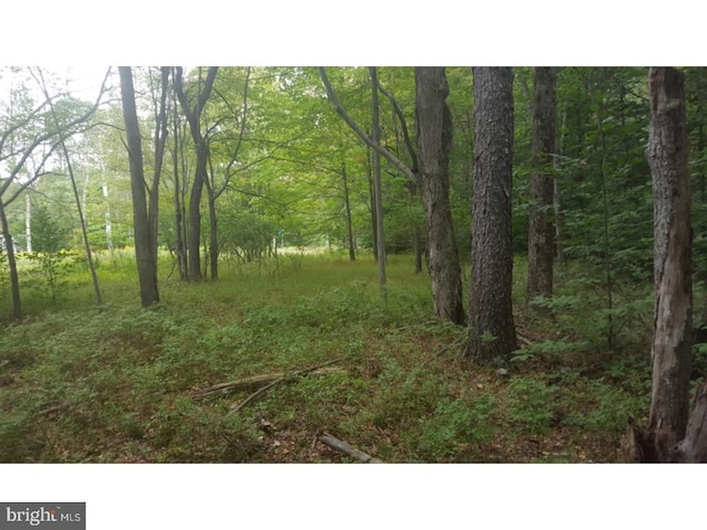 45039 Lr, Pocono Lake PA, 18347 land for sale