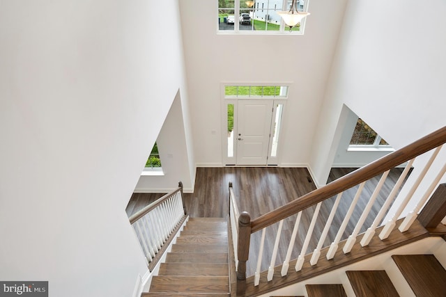 foyer entrance featuring a high ceiling, dark wood-type flooring, and a healthy amount of sunlight