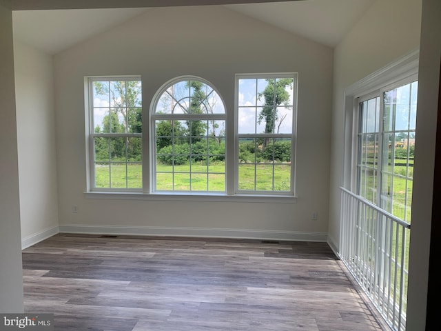 unfurnished sunroom featuring plenty of natural light and lofted ceiling