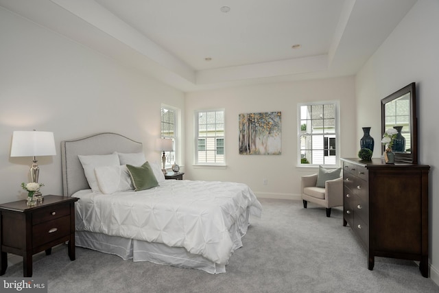 carpeted bedroom featuring a raised ceiling