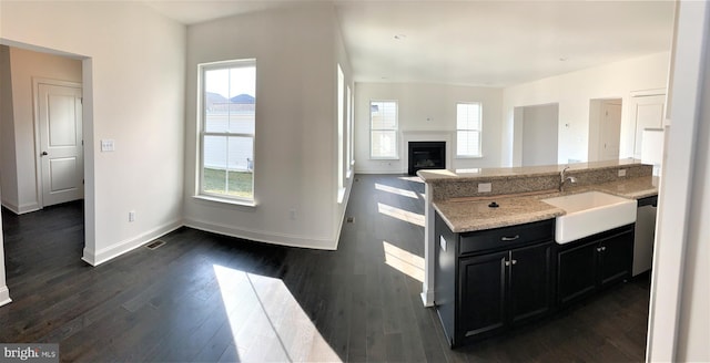 kitchen with stainless steel dishwasher, sink, a healthy amount of sunlight, and dark hardwood / wood-style floors