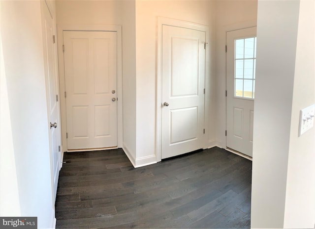 entryway featuring dark wood-type flooring