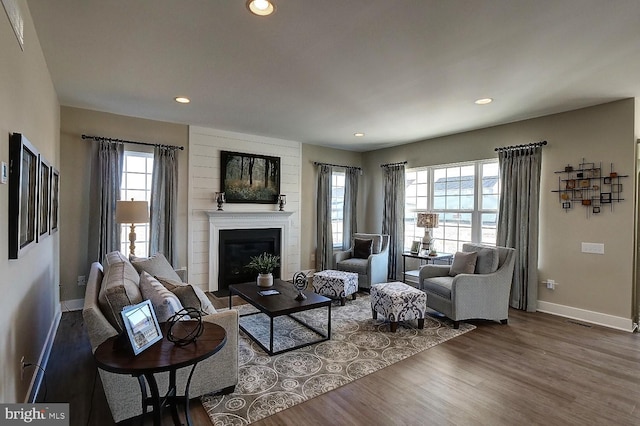 living room featuring hardwood / wood-style flooring and a large fireplace