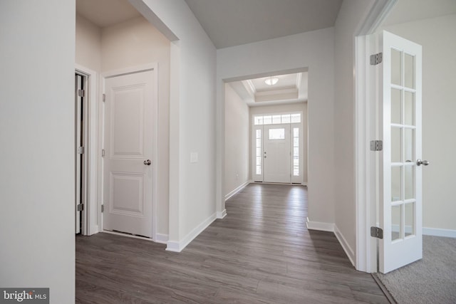 foyer entrance featuring a raised ceiling and dark wood-type flooring