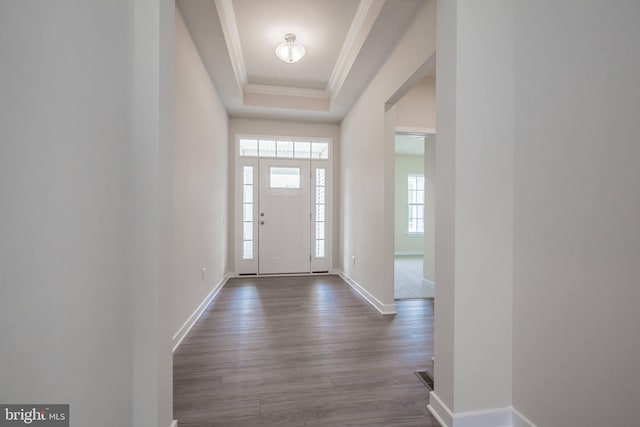 foyer entrance with wood-type flooring, crown molding, and a tray ceiling