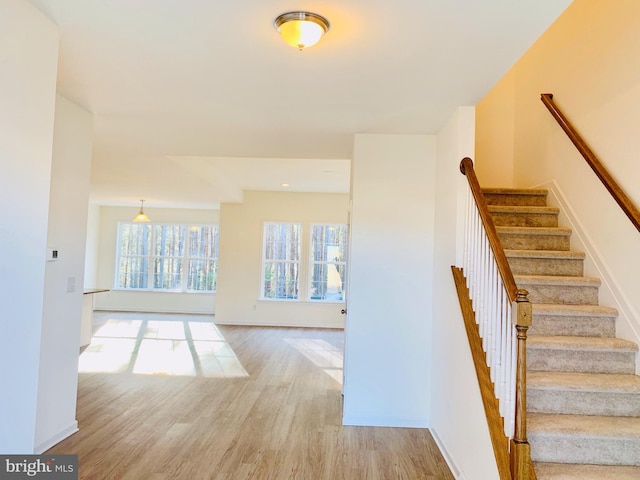 stairway featuring hardwood / wood-style floors