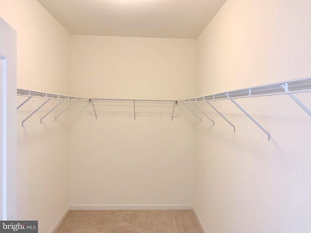 spacious closet with light colored carpet