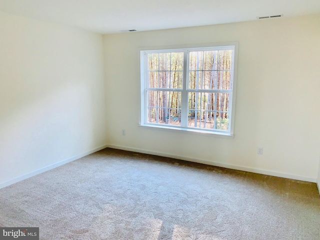 empty room featuring carpet flooring