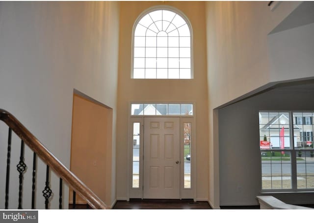 foyer entrance with wood-type flooring, a high ceiling, and a wealth of natural light