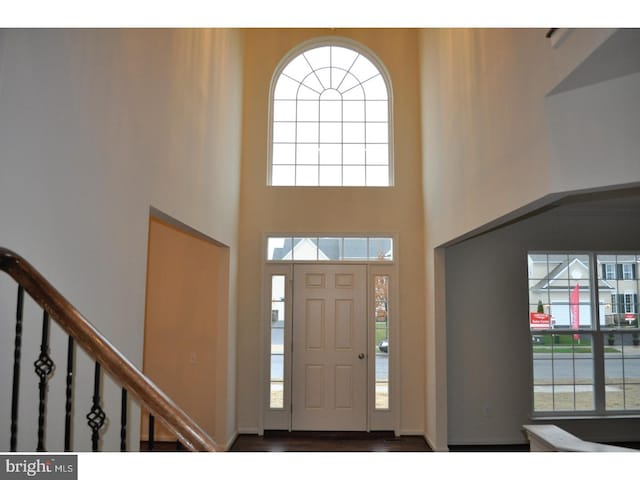 entrance foyer featuring hardwood / wood-style floors, a towering ceiling, and plenty of natural light