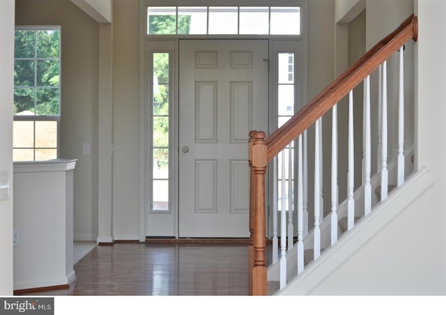 entryway with plenty of natural light and dark wood-type flooring