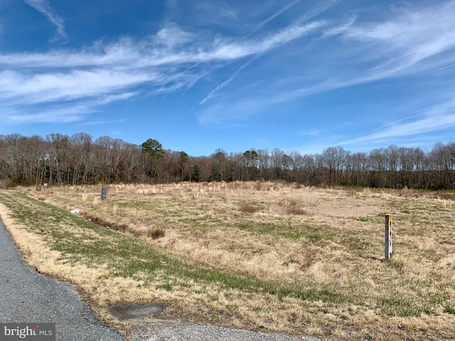 613 Saint Lukes Rd, Fruitland MD, 21826 land for sale