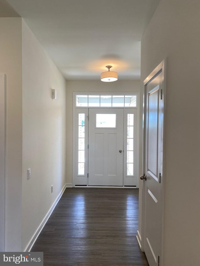 entryway featuring dark hardwood / wood-style flooring