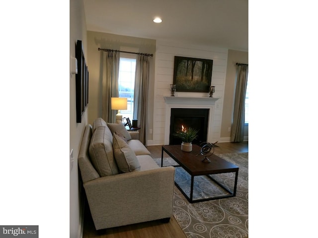 living room with hardwood / wood-style floors and a large fireplace