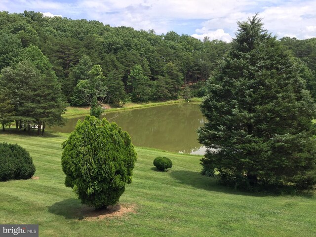 view of community with a yard and a water view