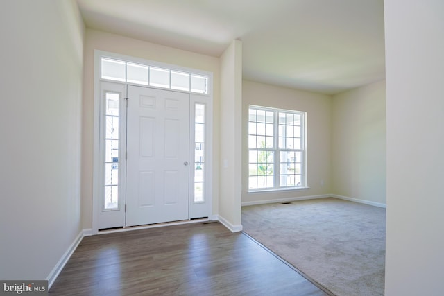 view of carpeted foyer entrance