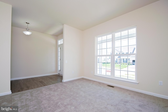 carpeted spare room featuring a healthy amount of sunlight