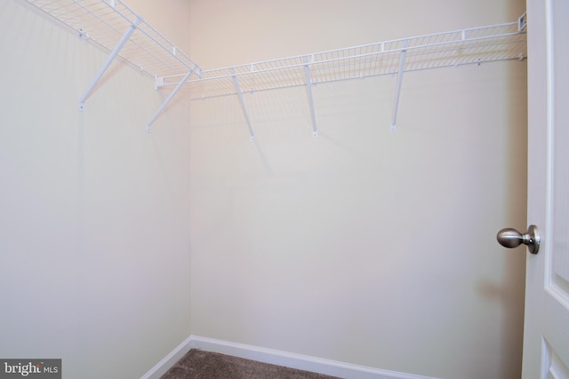 walk in closet with carpet