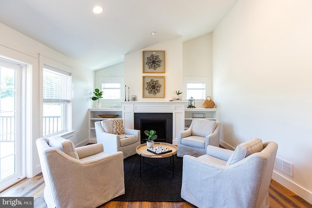 living room featuring wood-type flooring and lofted ceiling