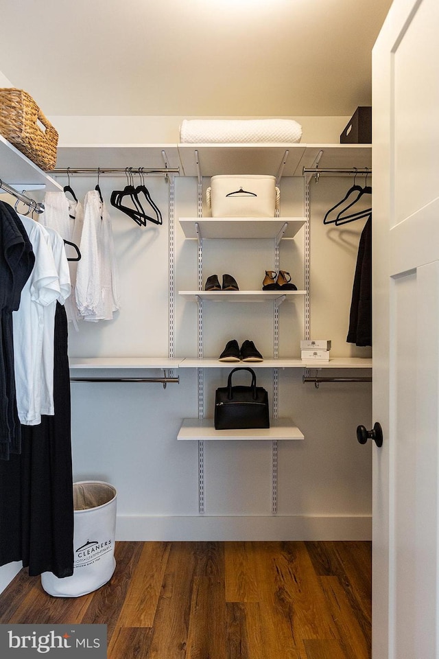 spacious closet featuring dark wood-type flooring