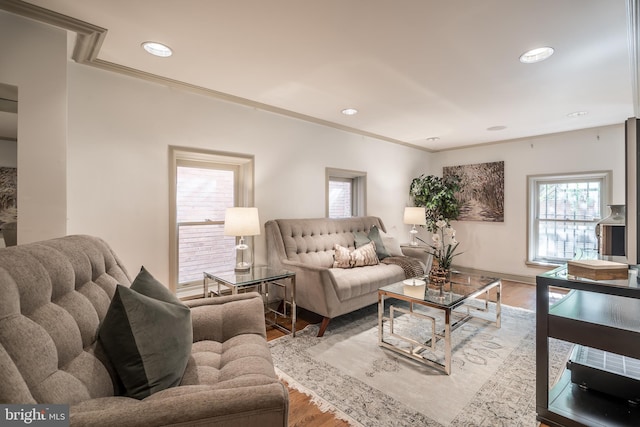 living room with hardwood / wood-style floors and crown molding