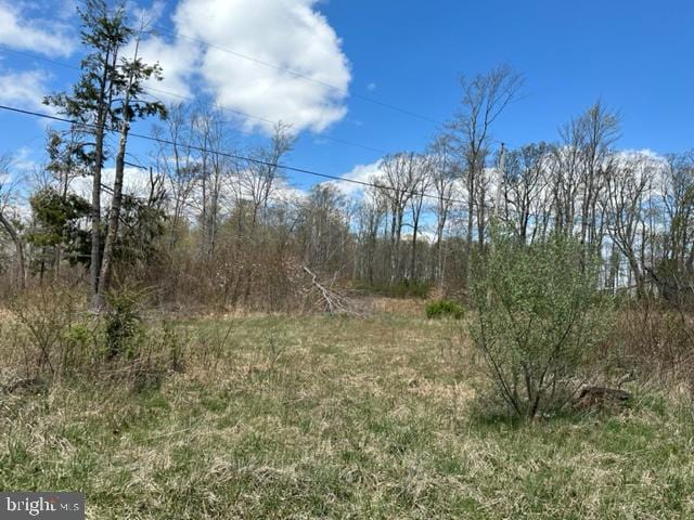 Cherry Ridge Rd, Mount Storm WV, 26739 land for sale