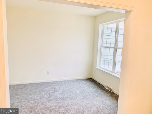 empty room featuring carpet