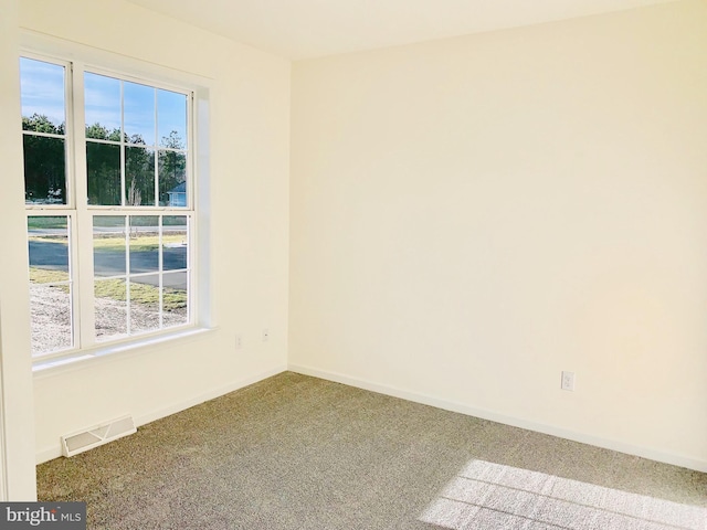 carpeted empty room featuring a wealth of natural light