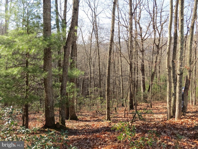 12 Cedarwood Drive Rd, Mathias WV, 26812 land for sale