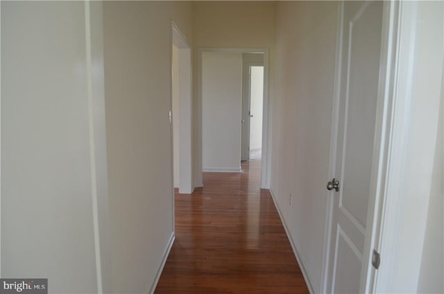 corridor featuring dark wood-type flooring