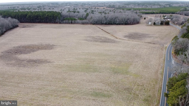 bird's eye view featuring a rural view