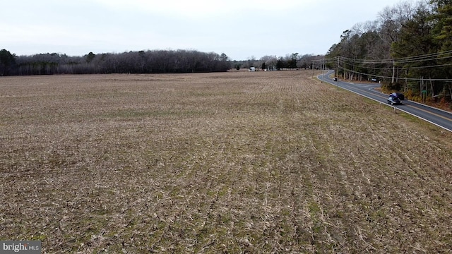 view of yard with a rural view