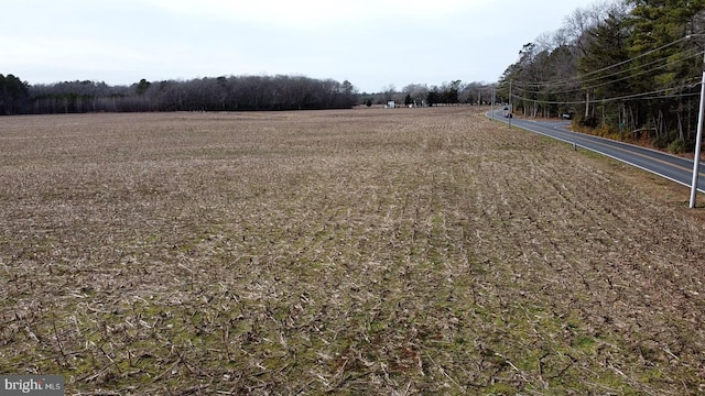 view of yard featuring a rural view