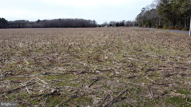 view of local wilderness featuring a rural view