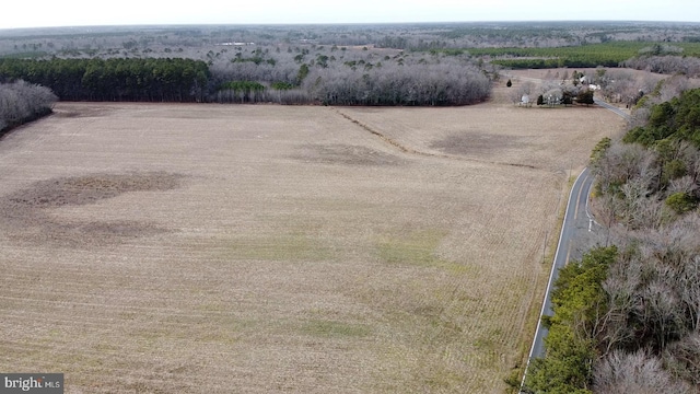 bird's eye view featuring a rural view