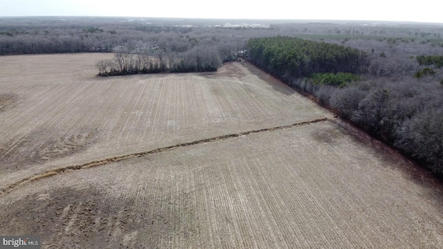 bird's eye view with a rural view