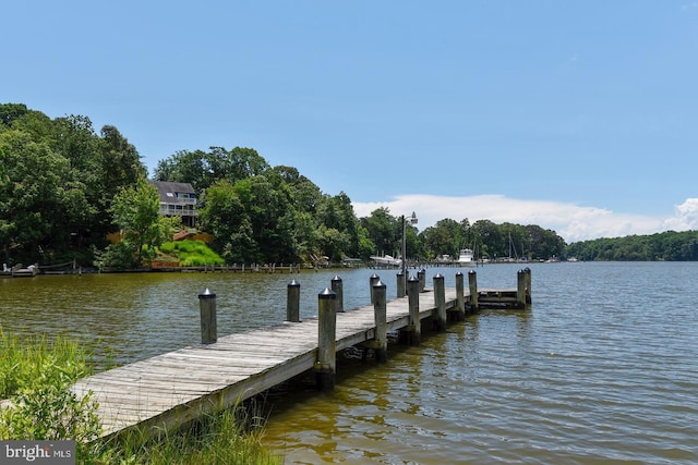 dock area with a water view