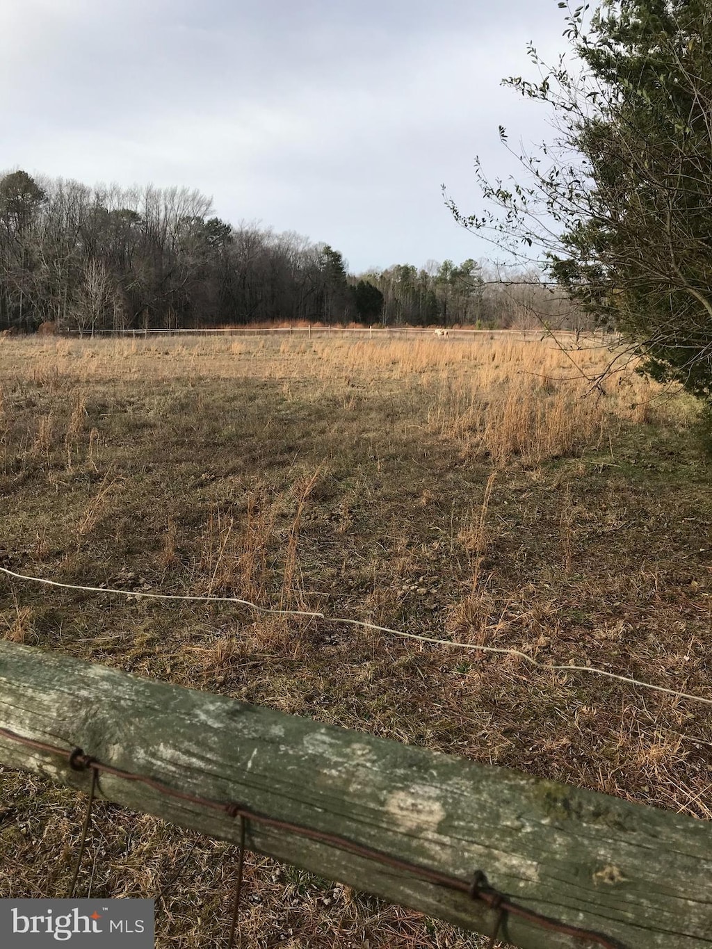 view of nature featuring a rural view