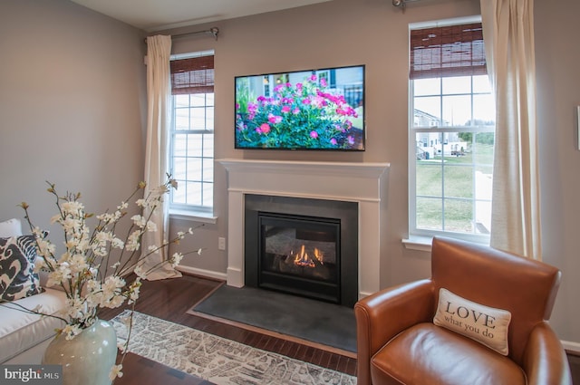 living room with dark hardwood / wood-style flooring