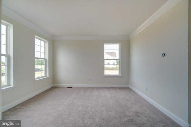 carpeted spare room with crown molding