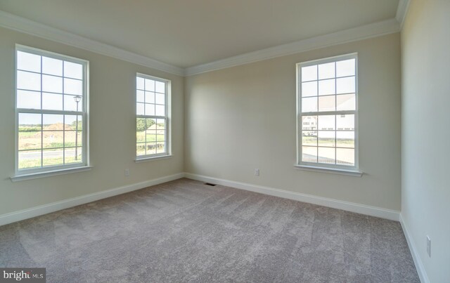 carpeted empty room with ornamental molding