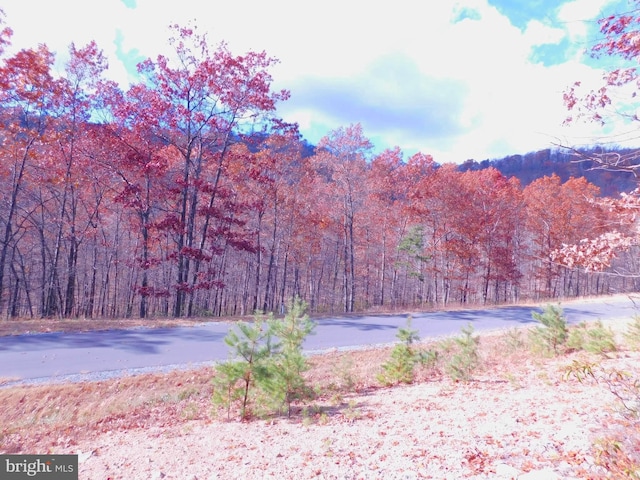 LOT15 Moundbuilder Loop, Hedgesville WV, 25427 land for sale