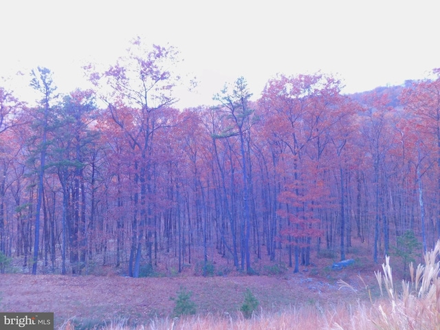 Listing photo 3 for LOT15 Moundbuilder Loop, Hedgesville WV 25427